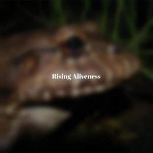 Various Artists的專輯Rising Aliveness