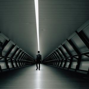 收听洋菟的秋殇别恋歌词歌曲