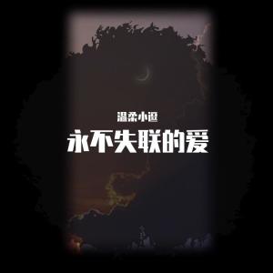 Listen to 永不失联的爱 (完整版) song with lyrics from 银木铃子