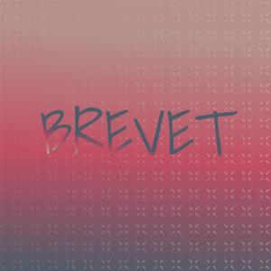 收聽Billy J Kramer & The Dakotas的Cruel Sea歌詞歌曲