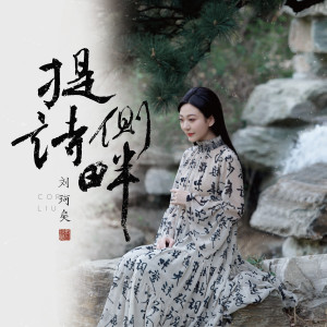 Listen to 提诗侧畔 song with lyrics from 刘珂矣