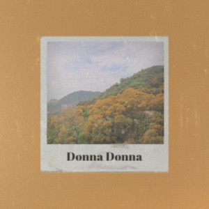 收聽The Everly Brothers的Donna Donna歌詞歌曲