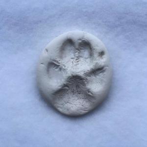 KVtheWriter的專輯Love That Dog
