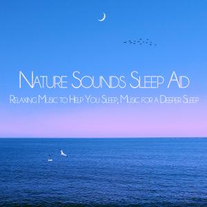 Album Nature Sounds Sleep Aid: Relaxing Music to Help You Sleep, Music for a Deeper Sleep from Deep Sleep Music DEA Channel