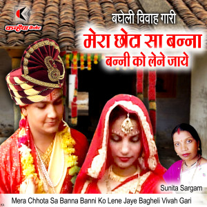 Listen to Mera Chhota Sa Banna Banni Ko Lene Jaye Bagheli Vivah Gari song with lyrics from Sunita Sargam