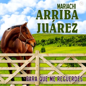 收聽Mariachi Arriba Juárez的Para Que Me Recuerdes歌詞歌曲