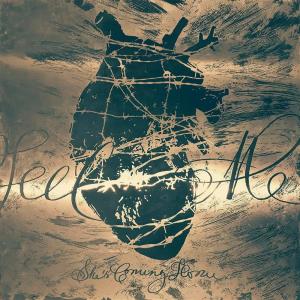 ดาวน์โหลดและฟังเพลง Feel Me พร้อมเนื้อเพลงจาก She's Coming Home