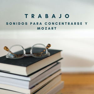 Trabajo: Sonidos Para Concentrarse y Mozart