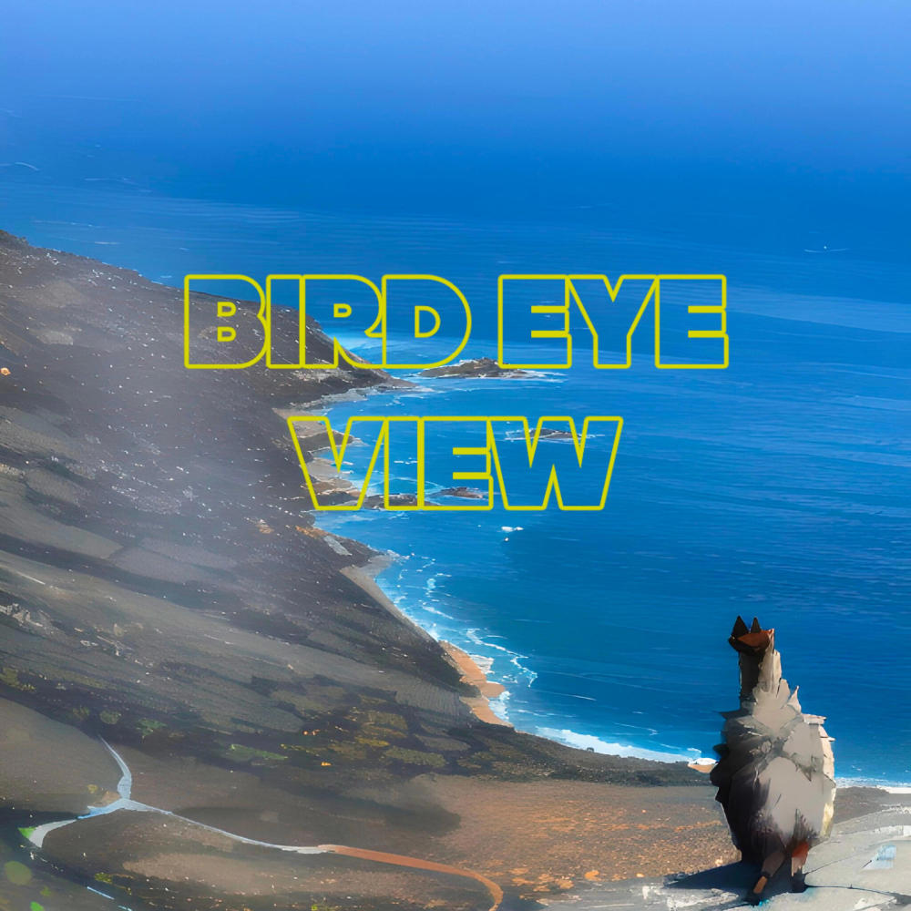 Bird Eye View (feat. Oddisee, G-Salih & Aidyproof) (Enhanced Version) (Explicit)