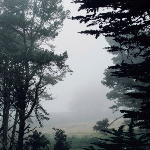Listen to Starting with A song with lyrics from Deceptikon