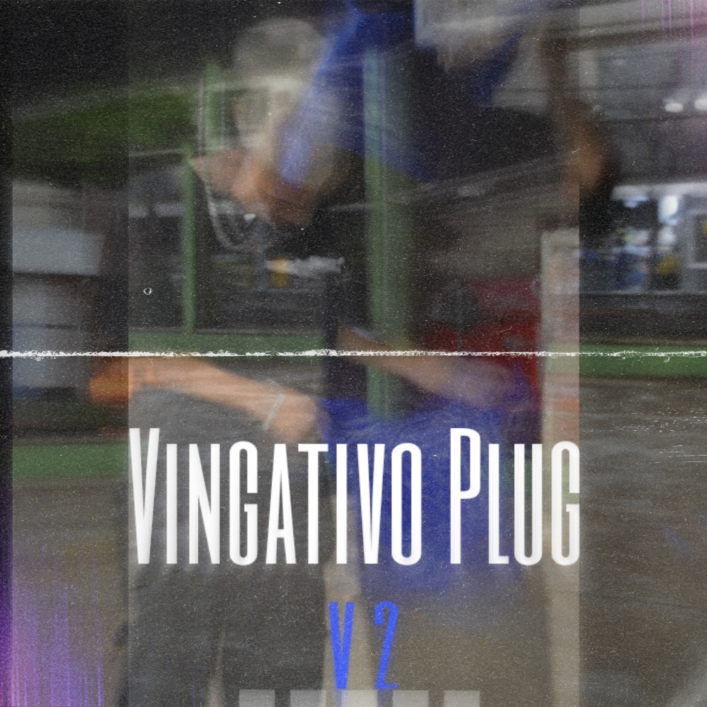Vingativo Plug V2 (Speed Up)