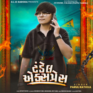 Album TANDEL EXPRESS from Parul Rathva