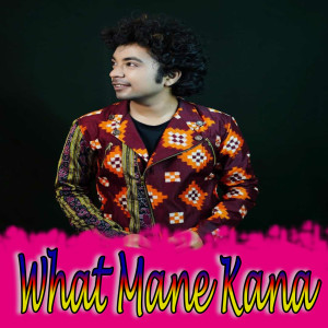 Album What Mane Kana from Mantu Chhuria
