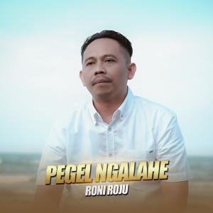 Album Pegel Ngalahe from Roni Roju