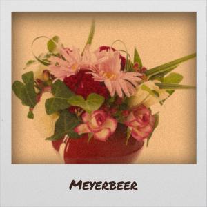 Album Meyerbeer from Various