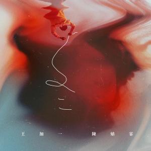 Album DONG from 王加一