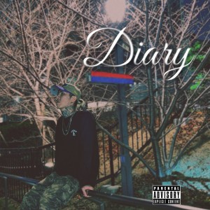 Album Diary from 