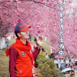 Listen to 山谷里的思念 song with lyrics from 杨洪强