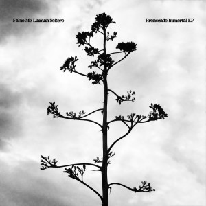 ดาวน์โหลดและฟังเพลง Ya Llegó El Ardor (Anatolian Weapons Desert Vocal Remix) พร้อมเนื้อเพลงจาก Fabio Me Llaman Soltero