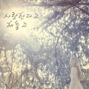 Dengarkan 사랑한다고 해놓고 lagu dari 은별 dengan lirik