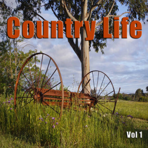 ดาวน์โหลดและฟังเพลง Banjo Rag พร้อมเนื้อเพลงจาก Arthur Smith