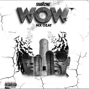Album Wow (Explicit) from 