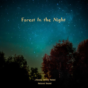 Listen to Forest In the Night (ASMR, Nature Sound) song with lyrics from J.Roomy