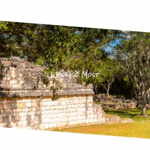Album Whomso Most from Various