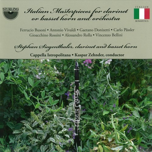 Concertino in B-Flat Major, Op. 48, BV 276