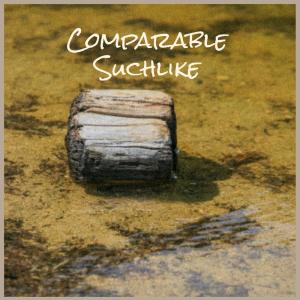 Listen to Comparable Suchlike song with lyrics from Licia Yeon