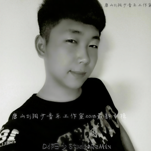 Album 2018DJ阳少工作室混音专辑 from DJ阳少