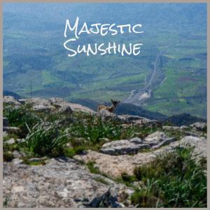 Various的专辑Majestic Sunshine