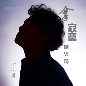 收聽丁文濤的拿寂寞涮火鍋 (伴奏)歌詞歌曲