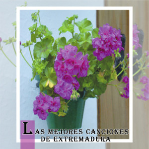 ดาวน์โหลดและฟังเพลง Fandango Extremeño พร้อมเนื้อเพลงจาก A.F.de D.