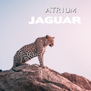 Album Jaguar from Atrium