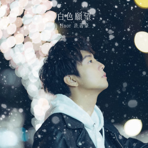 Listen to 白色願望 song with lyrics from 许书豪