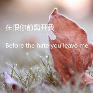 ดาวน์โหลดและฟังเพลง 原來你一直在我身後 พร้อมเนื้อเพลงจาก 赵凡帅