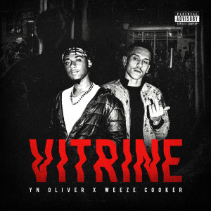 收聽YN Oliver的Vitrine歌詞歌曲