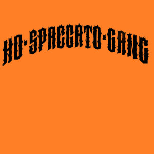 Album ho spaccato gang (Explicit) oleh Marco Messina