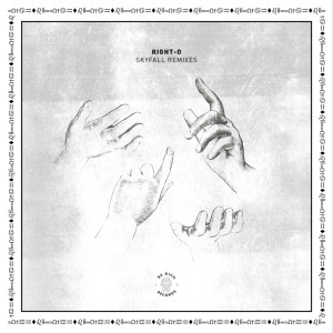 收聽Right-O的Skyfall (TK bby Remix)歌詞歌曲