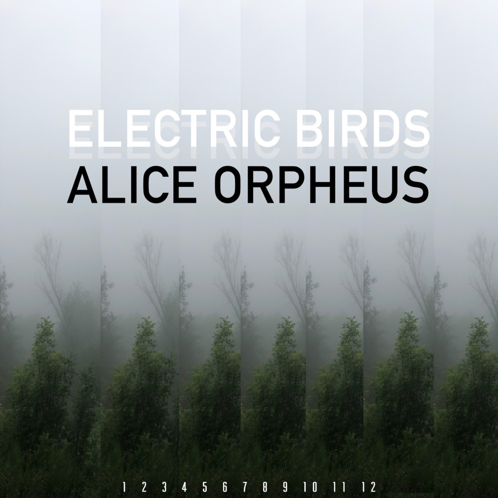 Electric Birds