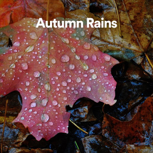 Listen to Strangers song with lyrics from Nature Sound Meditation