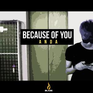Anda的專輯Because Of You