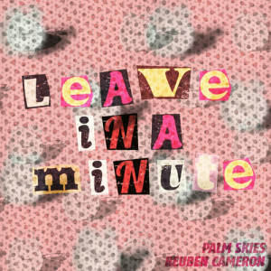 Album Leave in a Minute from Palm Skies