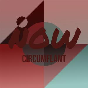 Various的专辑Now Circumflant