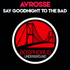 Avrosse的專輯Say Goodnight to the Bad Guy (Patrik Soderbom Remix)