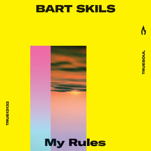 Album My Rules from Bart Skils