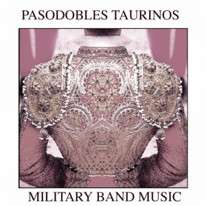 收聽Antonio Molina的Caminitos de mis Penas歌詞歌曲