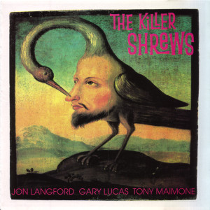 Jon Langford, Gary Lucas, Tony Maimone