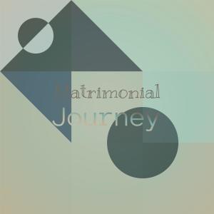 Listen to Injury Ballgame song with lyrics from Susai Luan